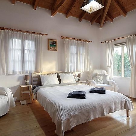 Sun&Sea Villas - Sea Βιγκλάφια Εξωτερικό φωτογραφία