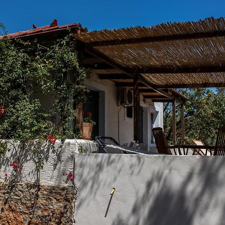Sun&Sea Villas - Sea Βιγκλάφια Εξωτερικό φωτογραφία